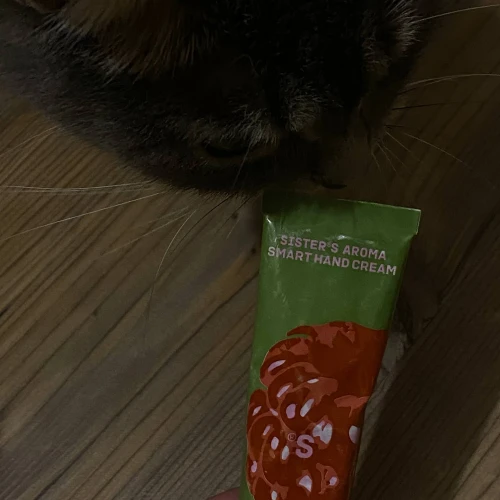 Ксения