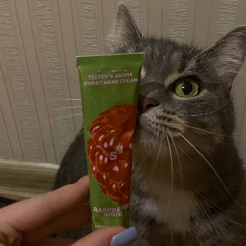 Ксения